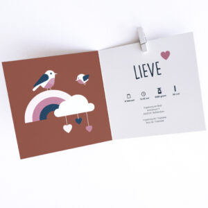 geboortekaart regenboog terracotta bruin ANNIdesign 02